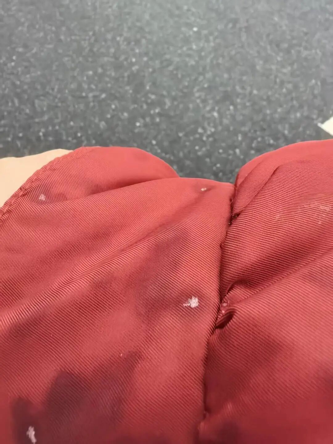 合肥下雪籽了! 合肥下雪籽了!