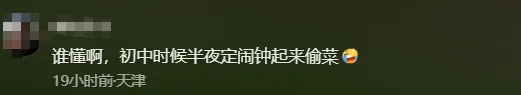 官宣：今日回归！“偷”菜的快乐回来了！