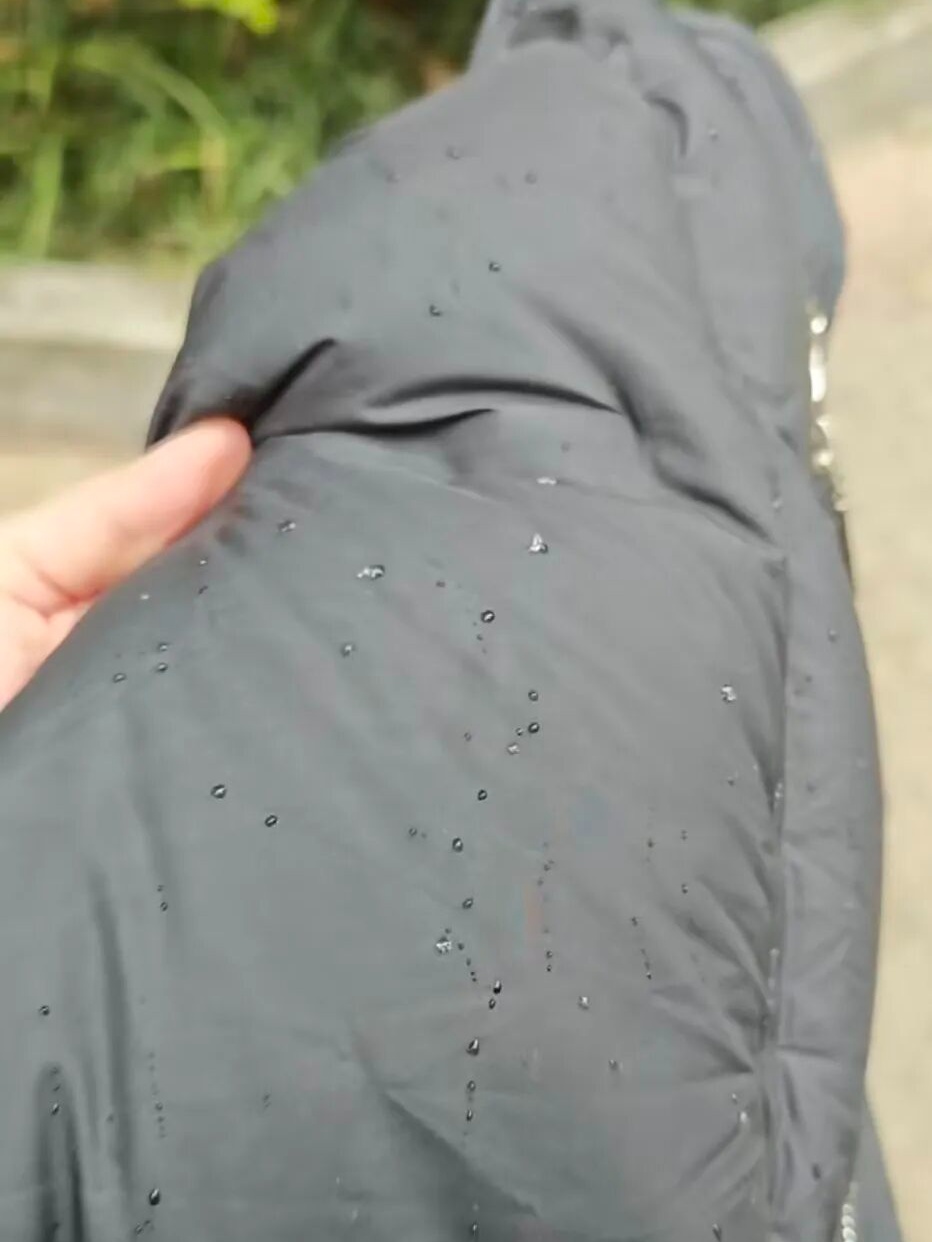 合肥下雪籽了! 合肥下雪籽了!