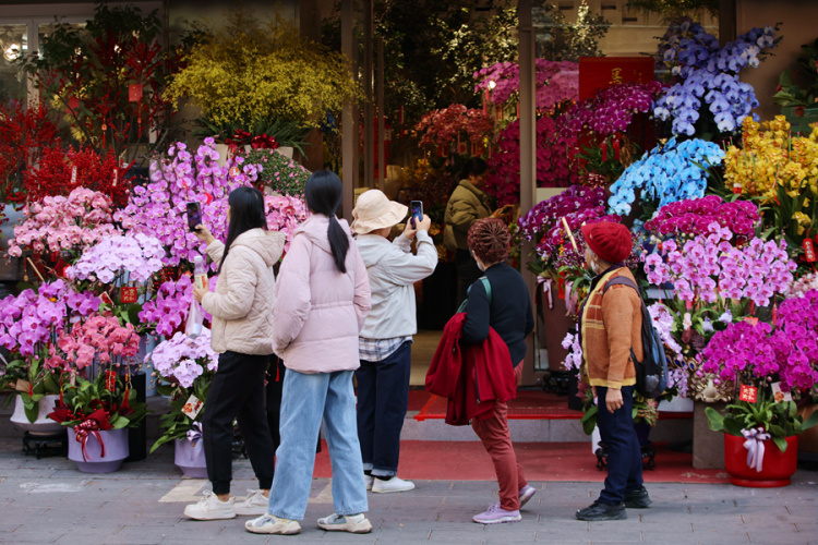 新春走基层丨厦门：新年花市人气旺 &nbsp;马年元素成“新宠”