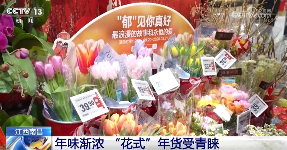 “花式”年货成为消费新亮点供销两旺 “传统民俗+多元艺术”丰富节前市场