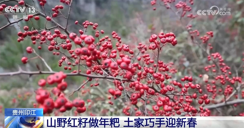 “年经济”消费新场景解锁“吃喝游购娱”沉浸式体验 特色美食洋溢幸福感 “年经济”消费新场景解锁“吃喝游购娱”沉浸式体验 特色美食洋溢幸福感