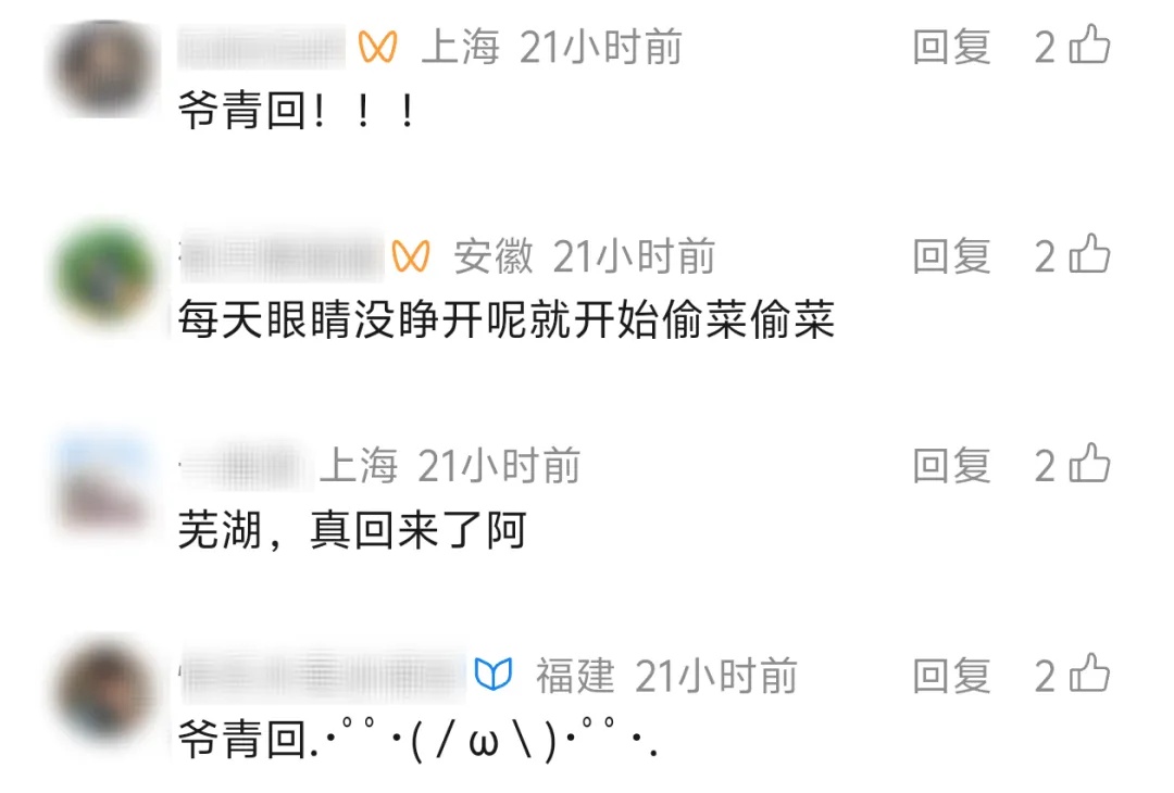 官宣：今日回归！“偷”菜的快乐回来了！