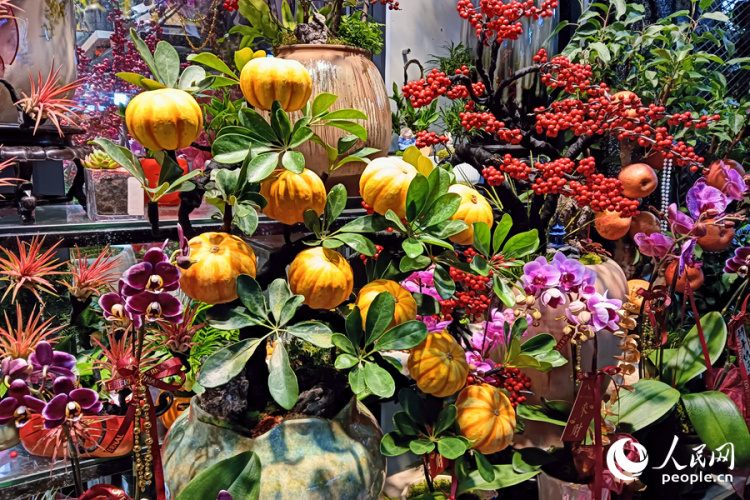 新春走基层丨厦门：新年花市人气旺 &nbsp;马年元素成“新宠”