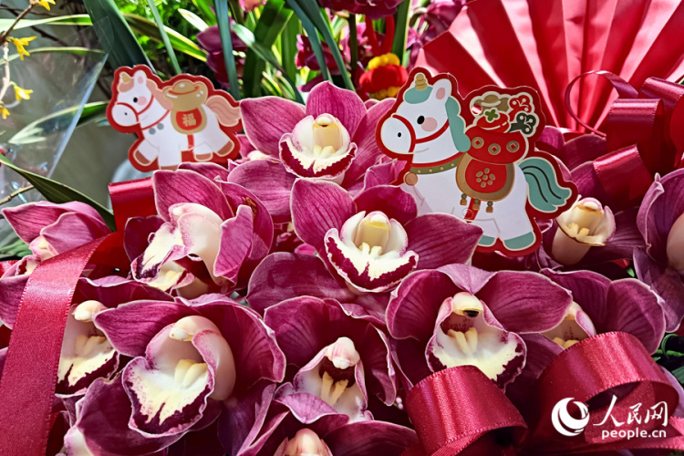 新春走基层丨厦门：新年花市人气旺 &nbsp;马年元素成“新宠”