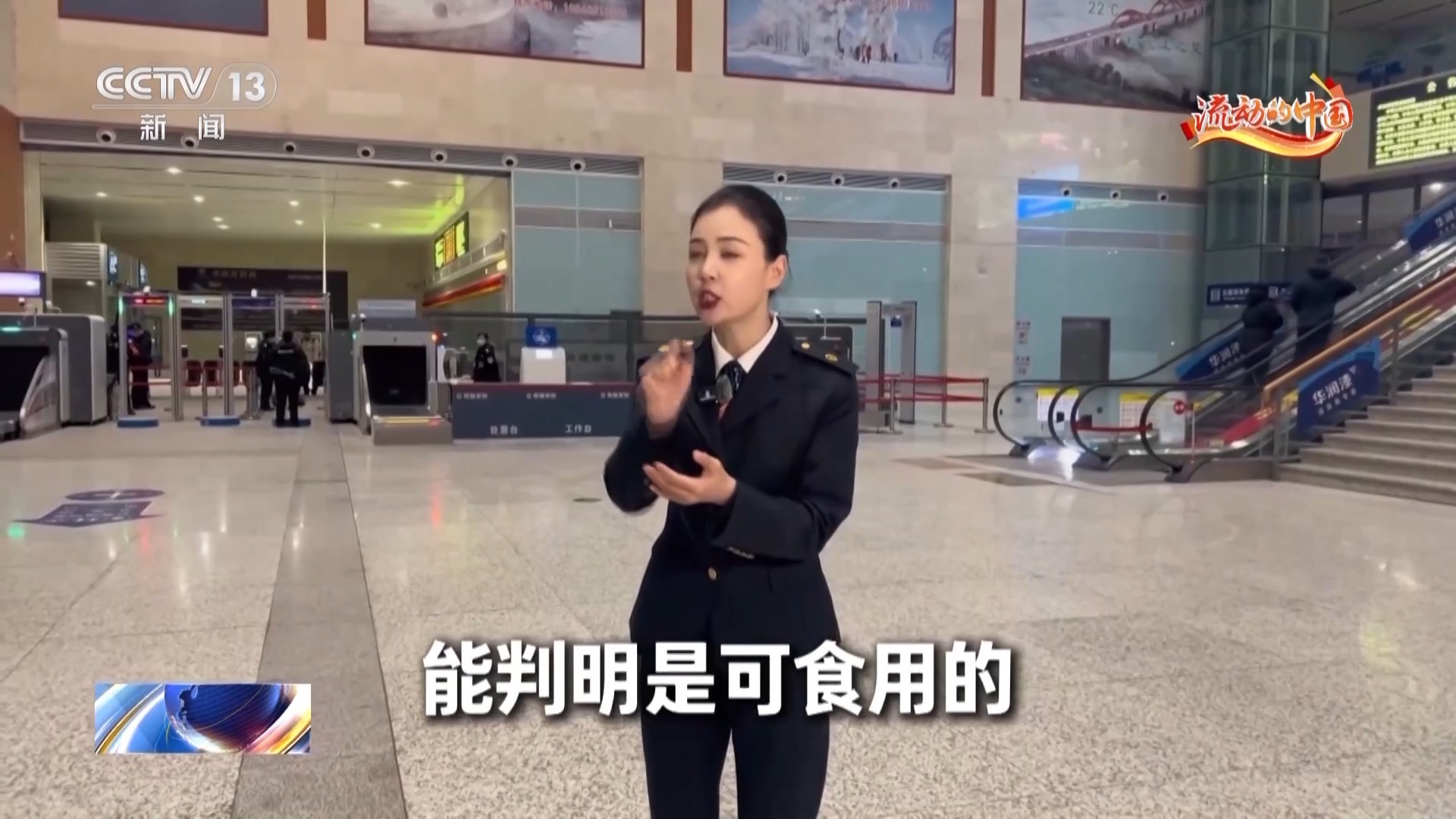 春节回家行李怎么打包？哪些东西不能带？一份攻略说明白