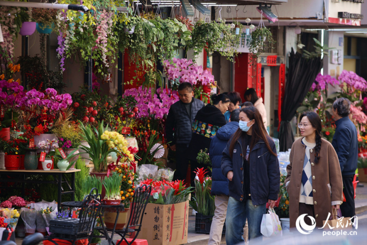 新春走基层丨厦门：新年花市人气旺 &nbsp;马年元素成“新宠”