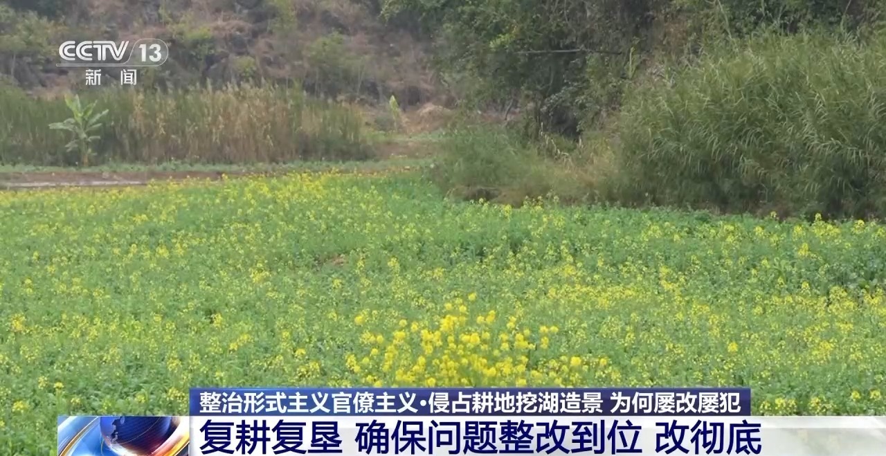 景区占地290亩挖湖造景 复耕复垦确保问题整改彻底