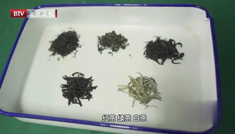 绿茶搭配它们,“防癌力”蹭蹭上涨,痴呆风险也降低 绿茶搭配它们,“防癌力”蹭蹭上涨,痴呆风险也降低