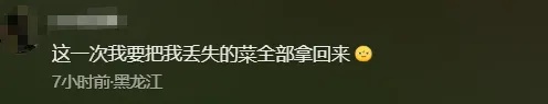 官宣：今日回归！“偷”菜的快乐回来了！