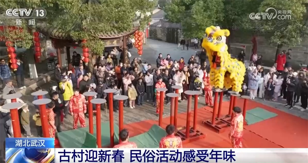 “花式”年货成为消费新亮点供销两旺 “传统民俗+多元艺术”丰富节前市场