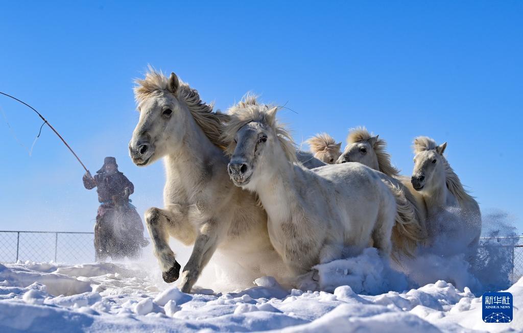 策马踏雪迎新春 策马踏雪迎新春