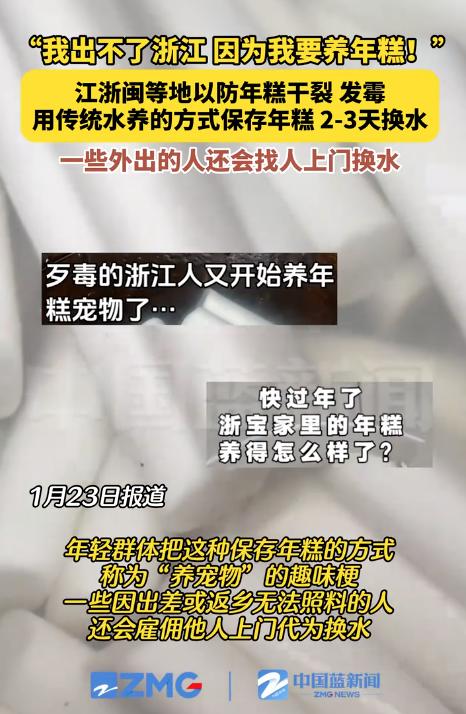 浙江人过年最离谱的“宠物”：年糕！居然真的要天天“养”