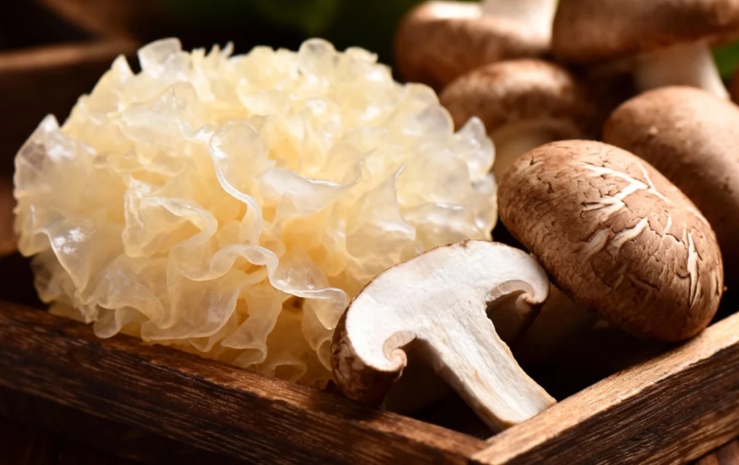 隔夜饭=夺命饭?一文读懂“炒饭综合征”,避开隔夜食陷阱 隔夜饭=夺命饭?一文读懂“炒饭综合征”,避开隔夜食陷阱