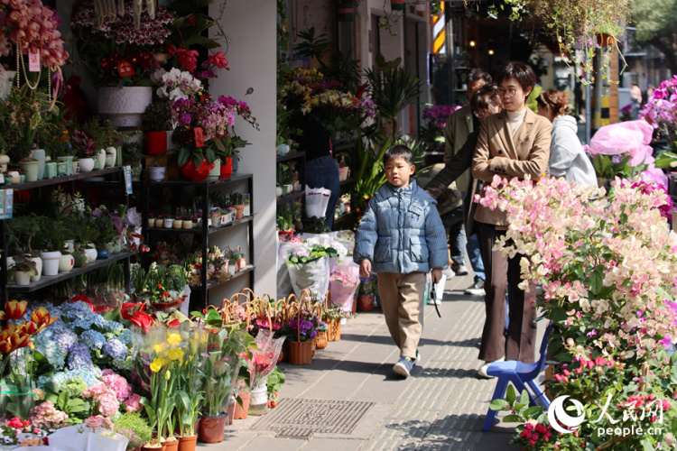 新春走基层丨厦门：新年花市人气旺 &nbsp;马年元素成“新宠”