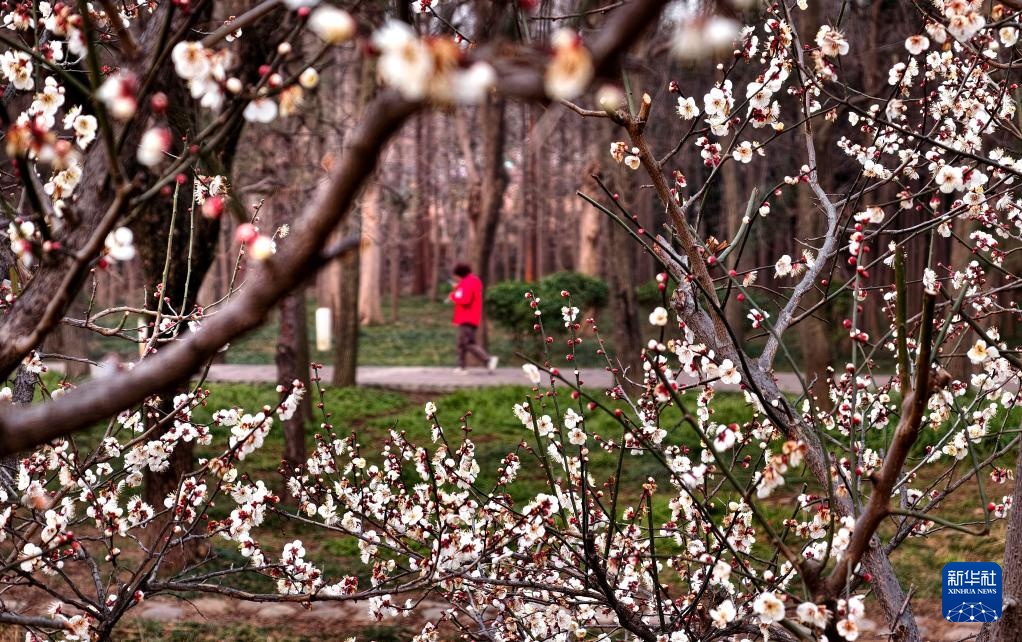 四时新启 美景如画 四时新启 美景如画