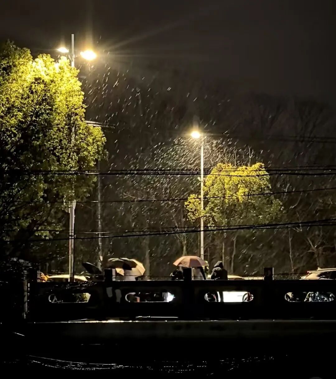 “冻”感十足！上海雨雪渐止，但冰冻模式持续！下周这天起气温回升→