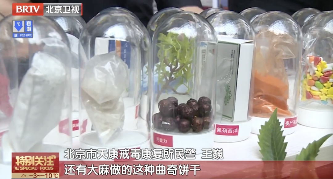 春运前，别忘带官方“安全锦囊”！转发给身边人——