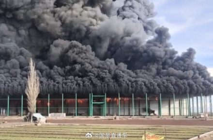 伊朗一处冷库发生火灾