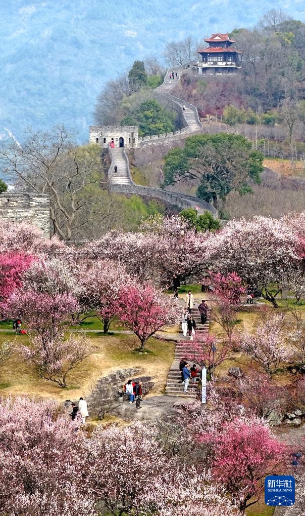 四时新启 美景如画 四时新启 美景如画