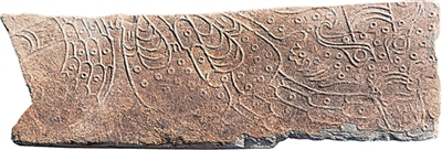 2025全国考古新发现 6大遗址解开这些谜团