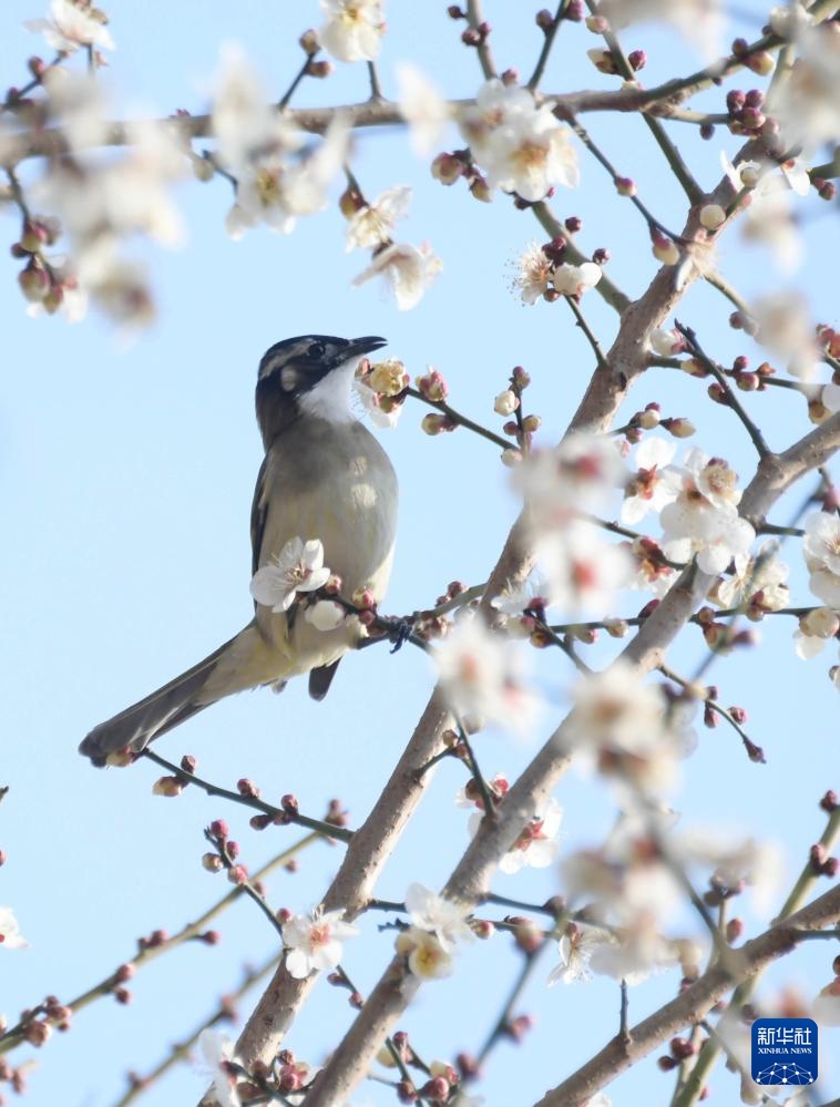 四时新启 美景如画 四时新启 美景如画
