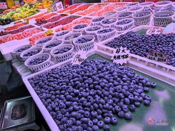 蓝莓畅销、车厘子价格亲民!春节前昆明水果市场→ 蓝莓畅销、车厘子价格亲民!春节前昆明水果市场→