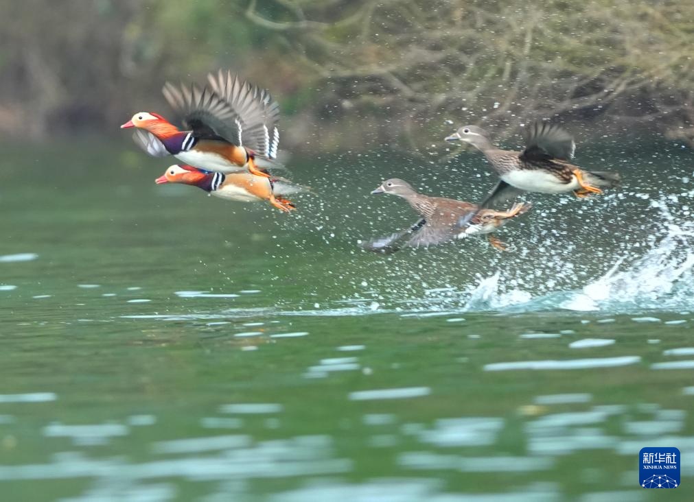 四时新启 美景如画 四时新启 美景如画
