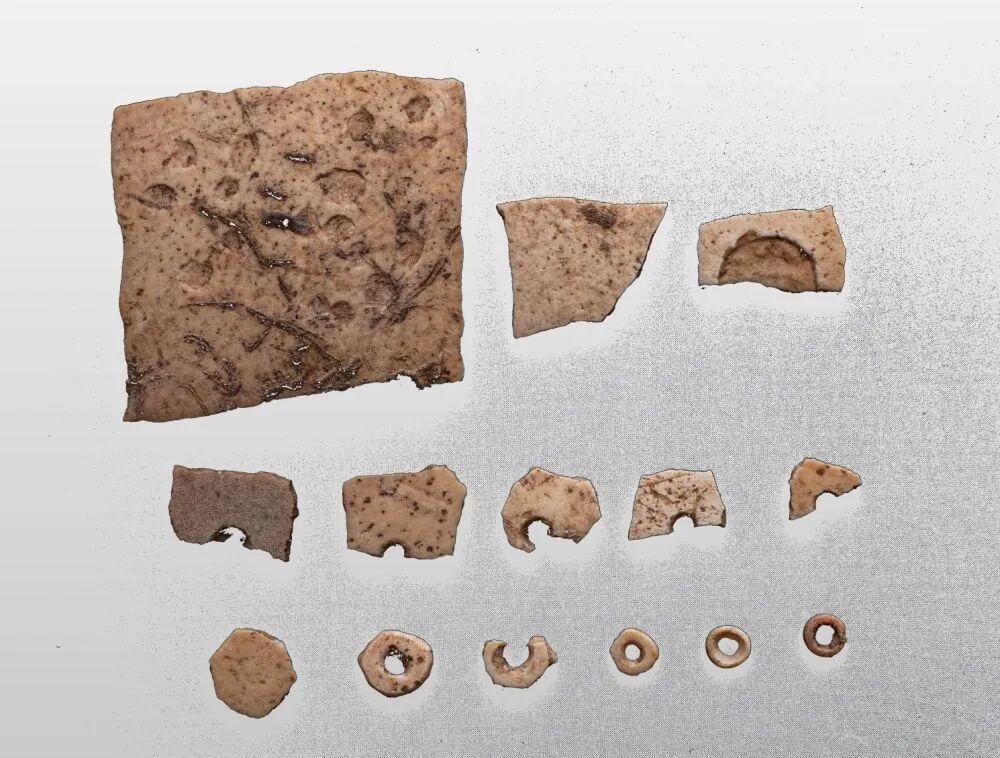 2.6万年前的鸵鸟蛋壳，被发现了！