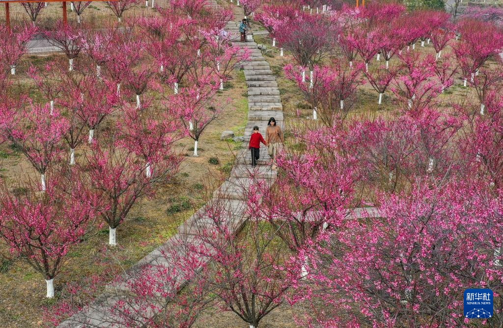 四时新启 美景如画 四时新启 美景如画