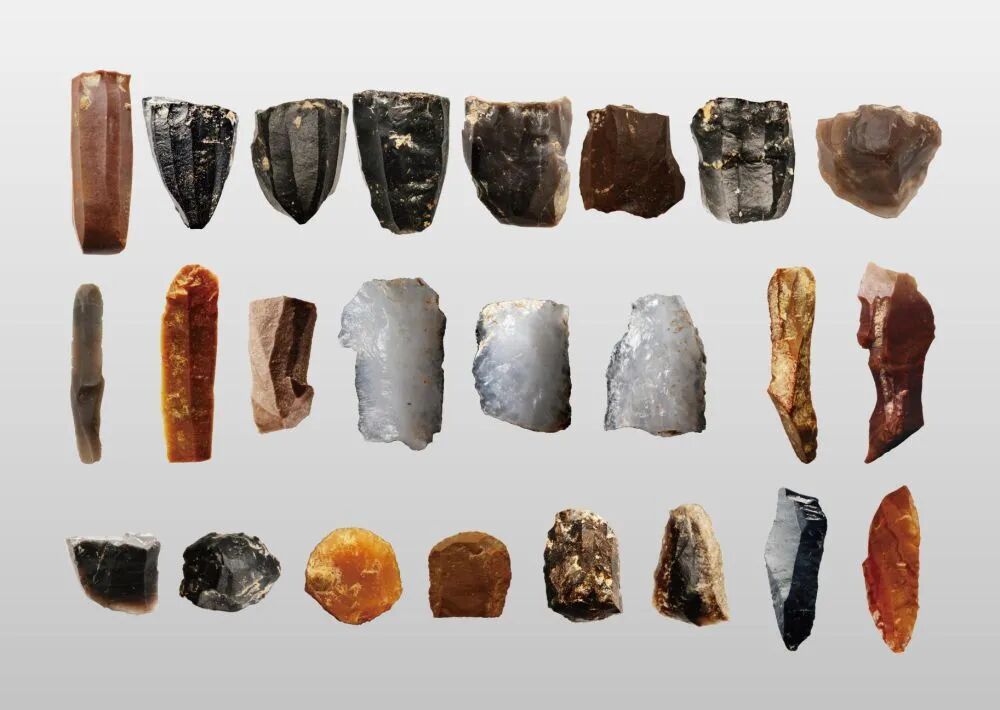 2.6万年前的鸵鸟蛋壳，被发现了！