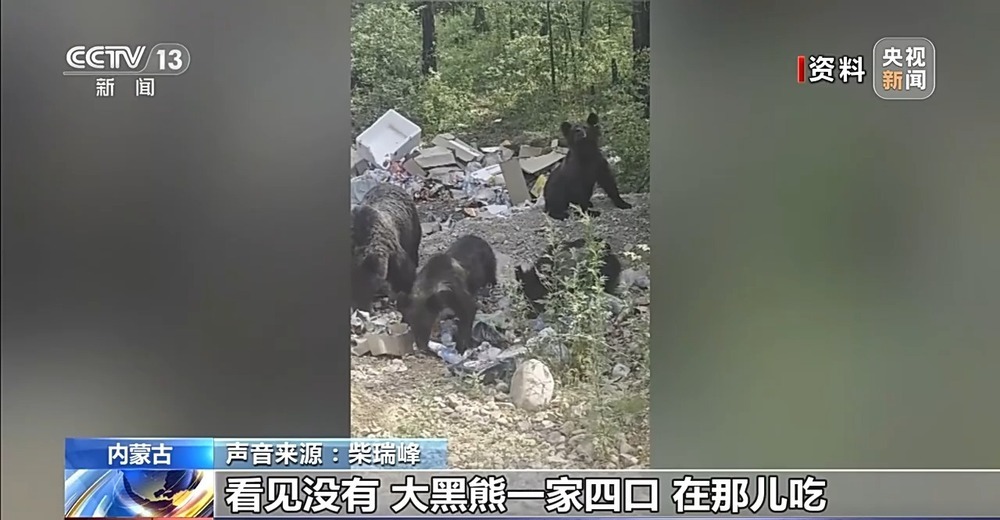 新春走基层丨一个人的林海雪原 他踏上这条风雪巡线路快14年了 新春走基层丨一个人的林海雪原 他踏上这条风雪巡线路快14年了