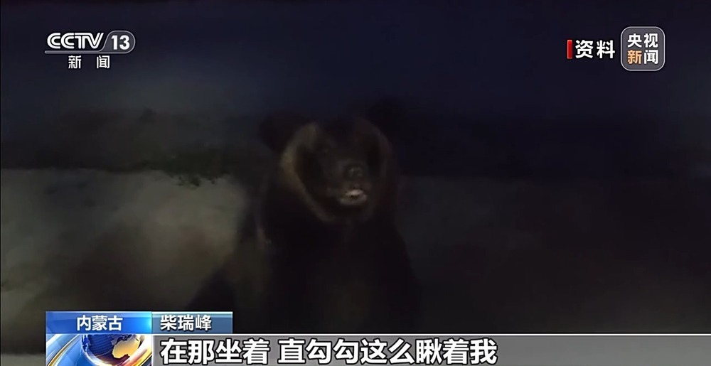 新春走基层丨一个人的林海雪原 他踏上这条风雪巡线路快14年了 新春走基层丨一个人的林海雪原 他踏上这条风雪巡线路快14年了