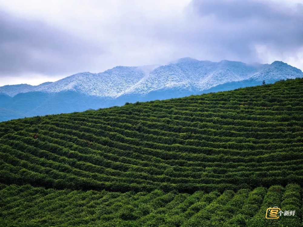 直冲25℃！浙江升温时间确定！杭州惊现罕见一幕，很多人头一回看到......