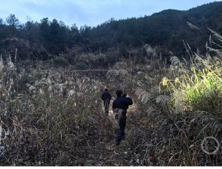 老人深山失联，无人机锁定位置成功营救