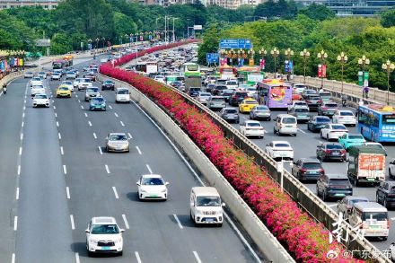 广东高速春运迎出行高峰春运