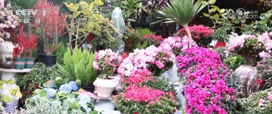 赶大集、备年货、赏民俗 传统年味别样浓 百姓沉浸式感受年俗魅力