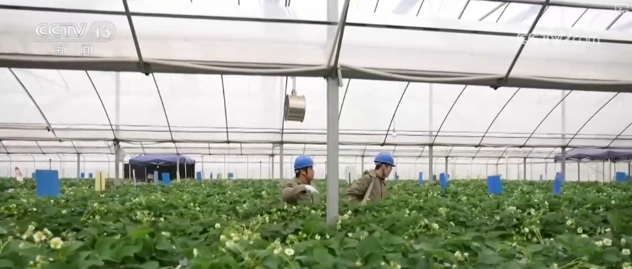 科技改造赋能筑牢电力保供屏障 多举措护航百姓生产生活