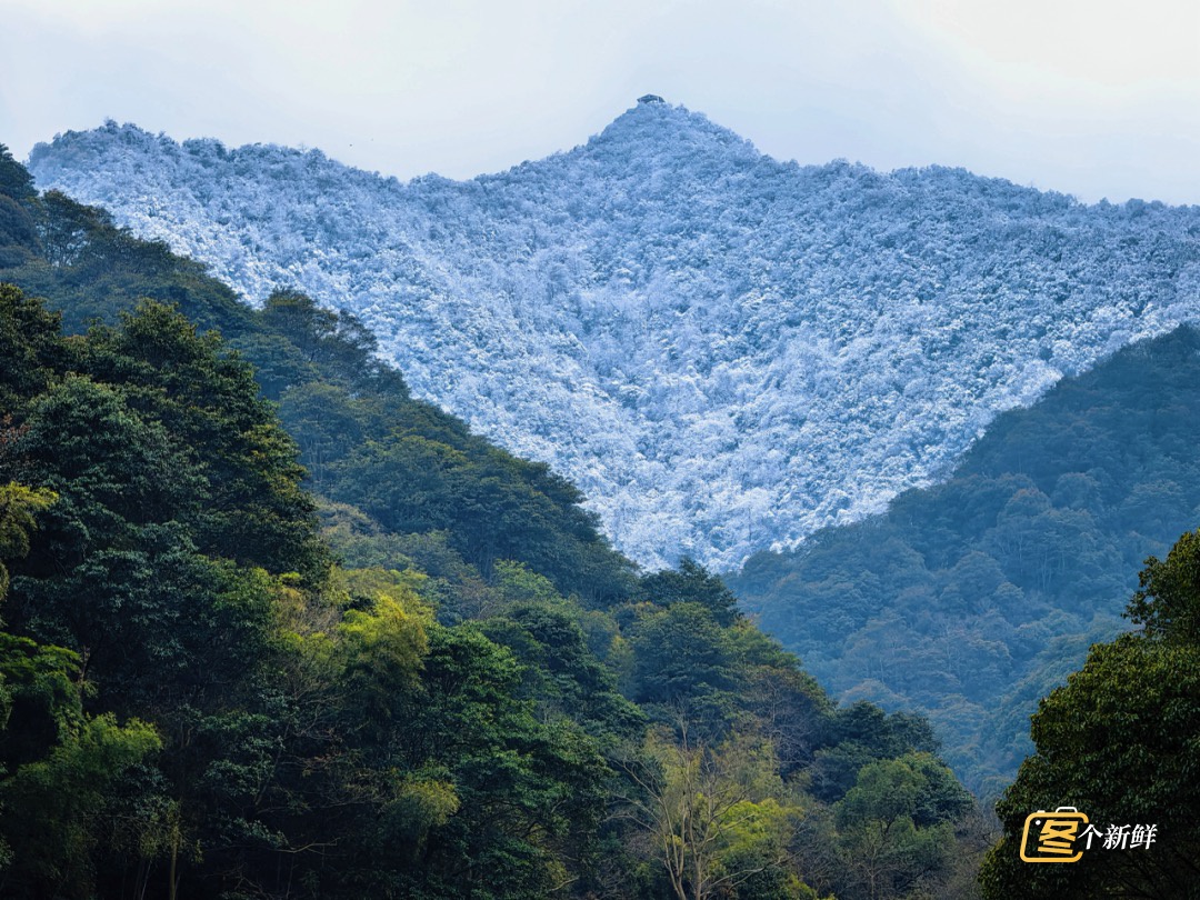 直冲25℃！浙江升温时间确定！杭州惊现罕见一幕，很多人头一回看到......
