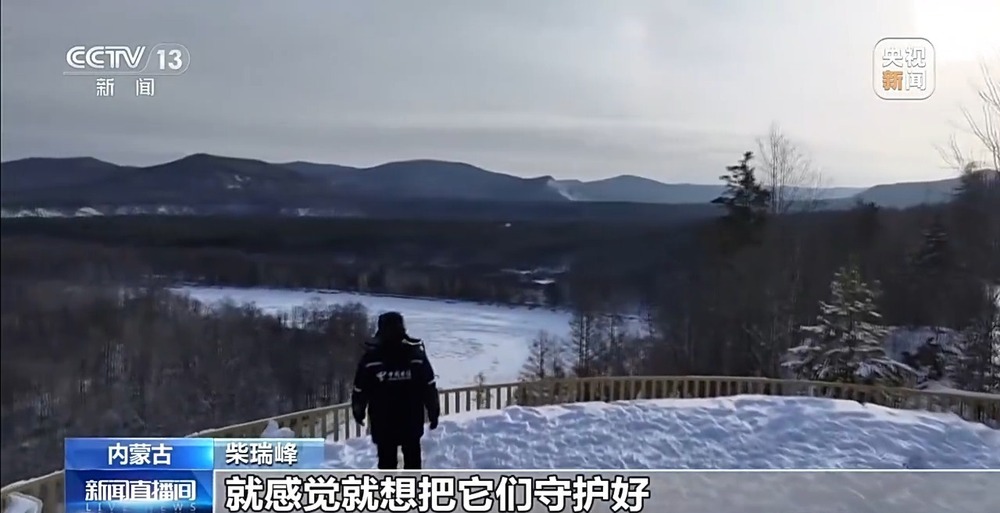 新春走基层丨一个人的林海雪原 他踏上这条风雪巡线路快14年了 新春走基层丨一个人的林海雪原 他踏上这条风雪巡线路快14年了