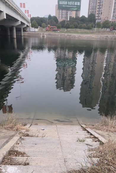 小伙从10多米高大桥跳水救人，妈妈心疼大哭！获救者：对不起，麻烦你了，谢谢