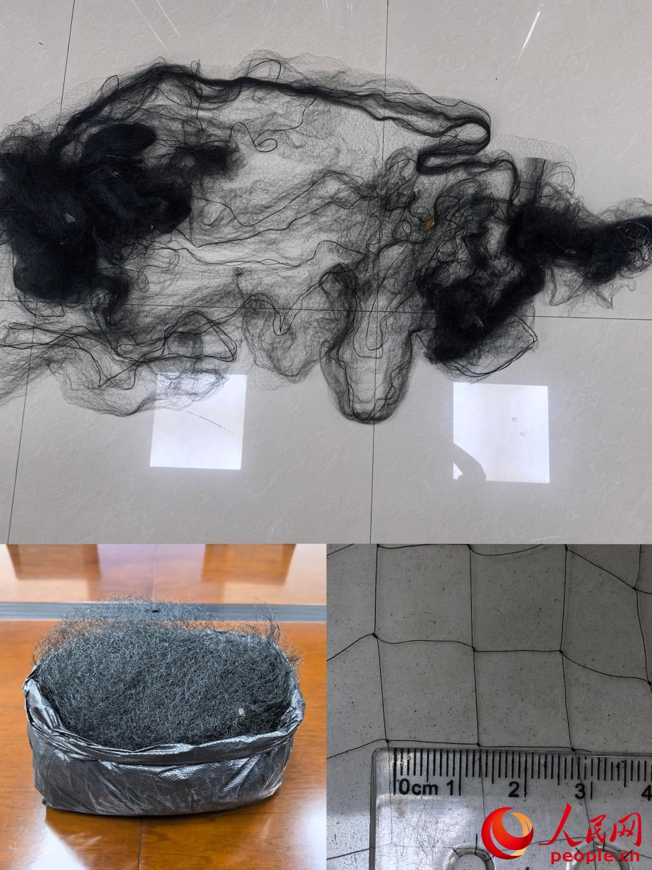 “大鸟用毒，小鸟用捕”，怎么治？