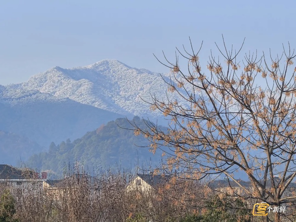 直冲25℃！浙江升温时间确定！杭州惊现罕见一幕，很多人头一回看到......