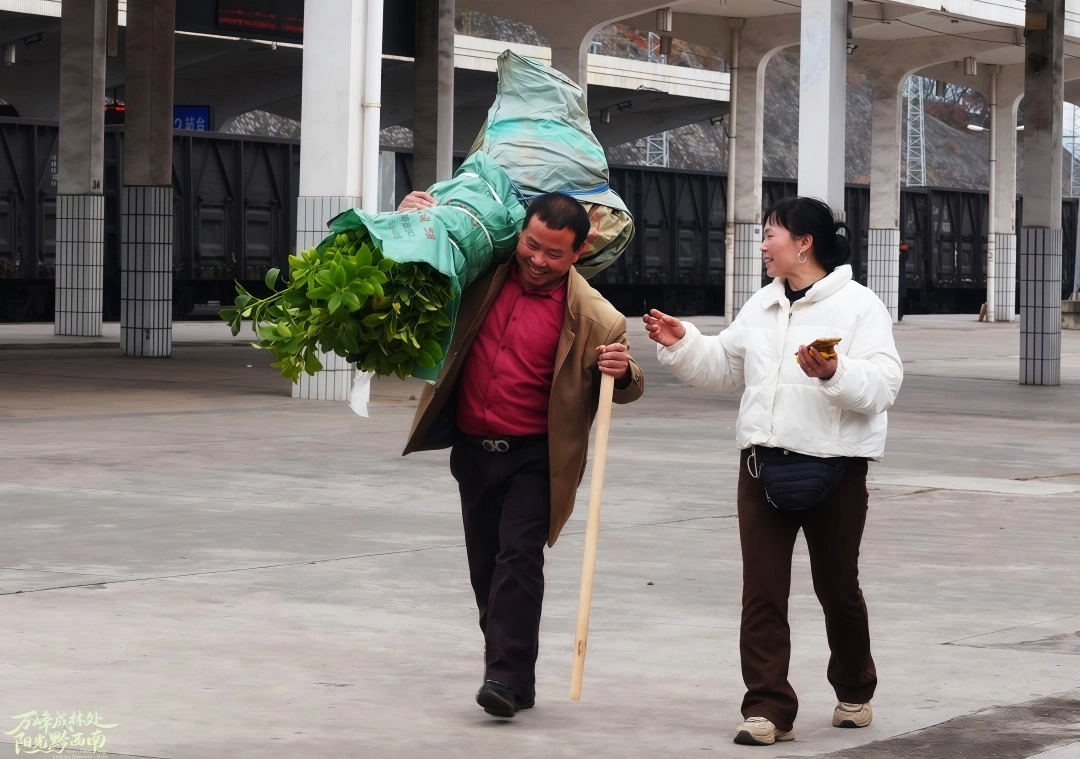 “慢火车”上的回家路 “慢火车”上的回家路