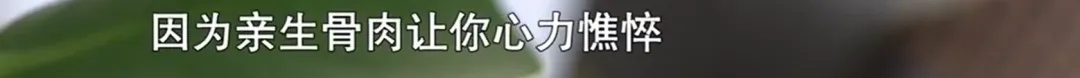 上海女子有三个“老公”！找演员假扮父母，彩礼照单全收，还认为这顶多算“婚外情”