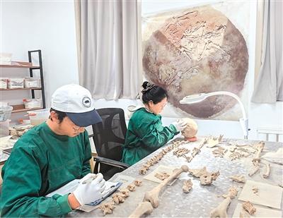 “2025年中国考古新成果”来了 它们缘何入选? “2025年中国考古新成果”来了 它们缘何入选?