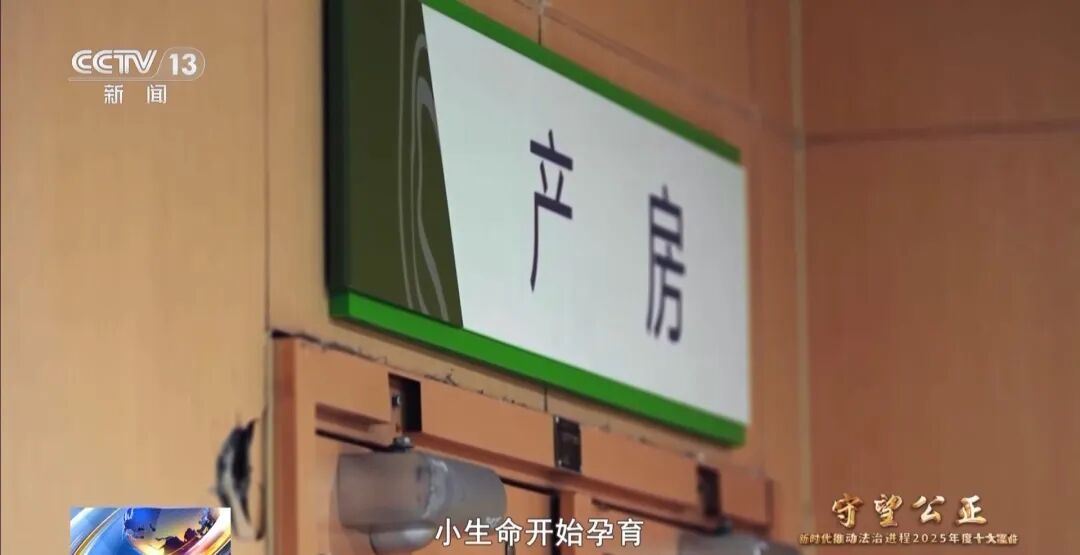 全国首例！父亲去世，“试管婴儿”获工亡抚恤金，案件细节公布