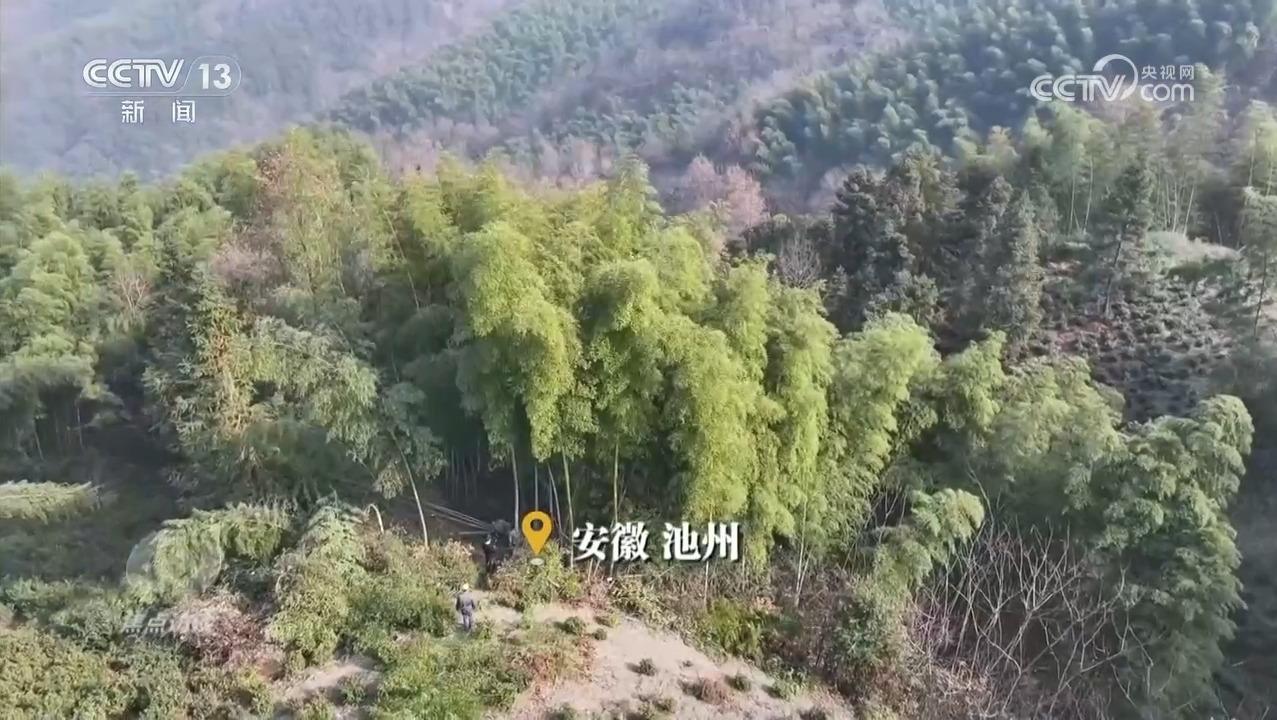 焦点访谈｜绿色消费催生新消费、重塑新生活