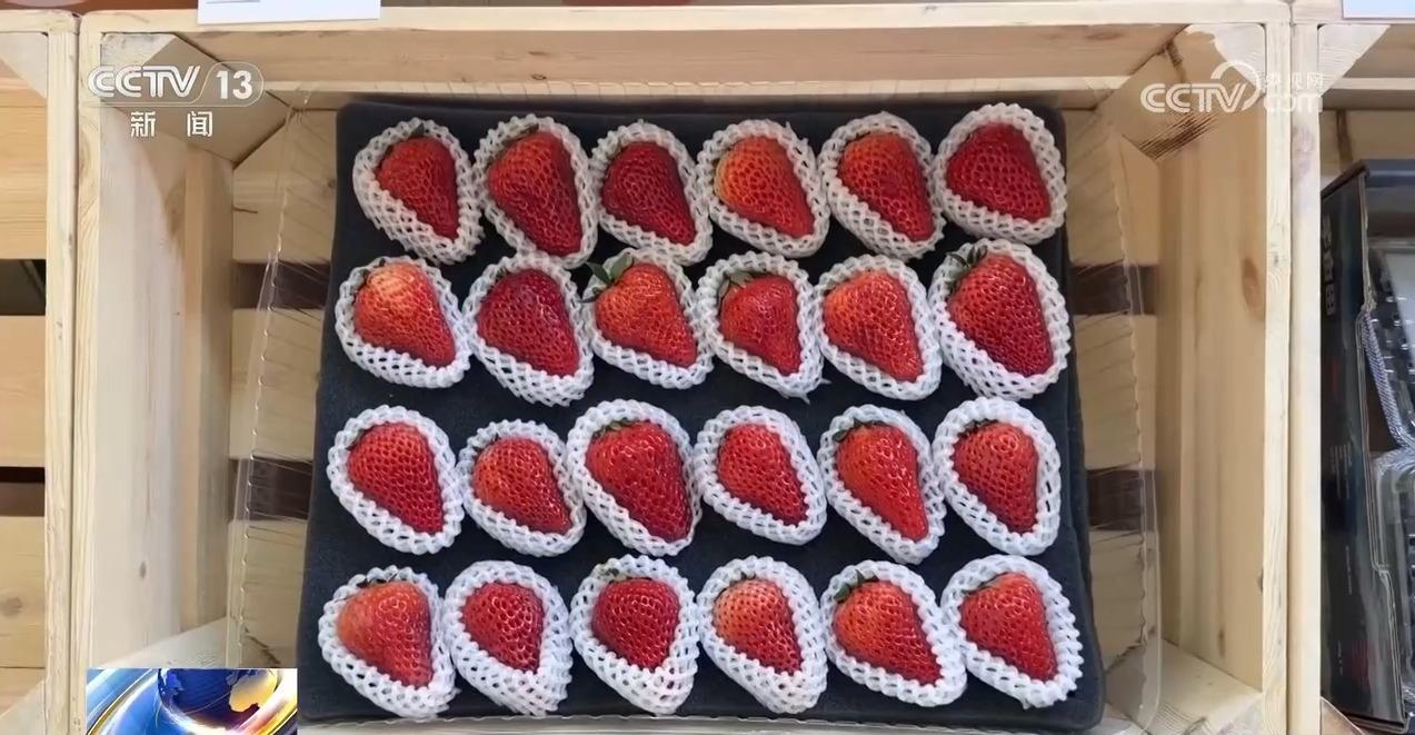 民航出行新体验 机场里还能“赶大集” 民航出行新体验 机场里还能“赶大集”