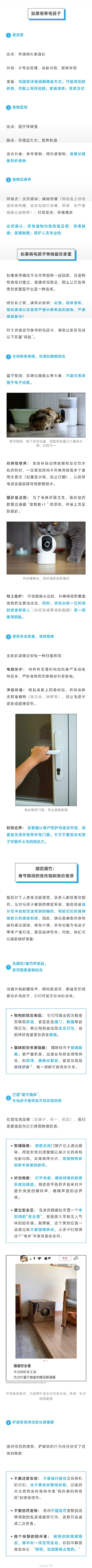 兽医提醒:小心烟花爆竹声吓坏宠物 兽医提醒:小心烟花爆竹声吓坏宠物